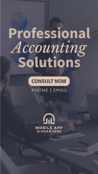 Professional Accounting Solutions Instagram story Image Preview