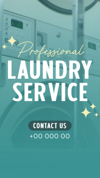 Professional Laundry Service Instagram Story Design