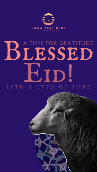 Sheep Eid Al Adha TikTok video Image Preview
