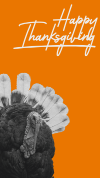 Orange Thanksgiving Turkey Facebook story Image Preview