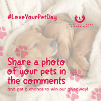 Love Your Pet Day Giveaway Instagram Post Image Preview