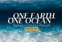 One Ocean Pinterest board cover Image Preview