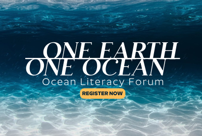 One Ocean Pinterest board cover Image Preview