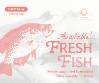 Fresh Fishes Available Facebook post Image Preview