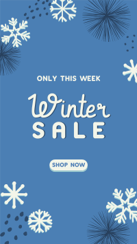 Decorative Winter Sale Facebook story Image Preview