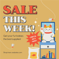 Cat Supplies Sale Instagram post Image Preview