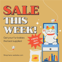 Cat Supplies Sale Instagram Post Design