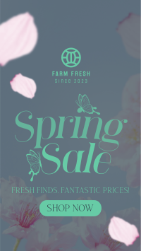 Fresh Spring Sale TikTok Video Image Preview