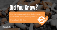 Smoking Facts Facebook Ad Design