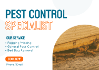 Pest Control Management Postcard Image Preview