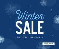 Winter Wonderland Sale Facebook post Image Preview