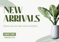 Minimalist Plant Alert Postcard Image Preview