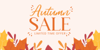 Autumn Limited Offer Twitter post Image Preview