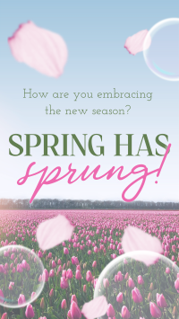 Elegant Spring Engagement TikTok Video Preview