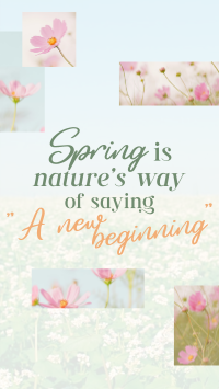 Spring Quote TikTok Video Preview