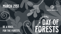 Foliage Day of Forests Video Image Preview