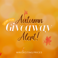 Autumn Giveaway Alert Instagram post Image Preview