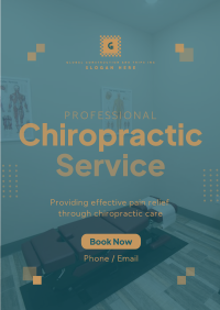 Professional Chiropractor Poster Image Preview