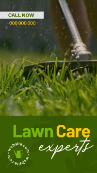 Lawn Care Experts Instagram Story Design