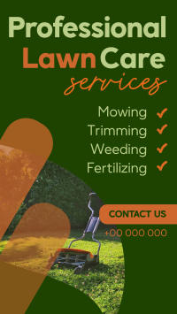 Professional Lawn Care Services TikTok Video Image Preview