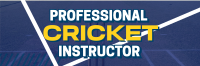 Professional Cricket Coach Twitter Header Preview