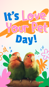 Avian Pet Day Video Image Preview