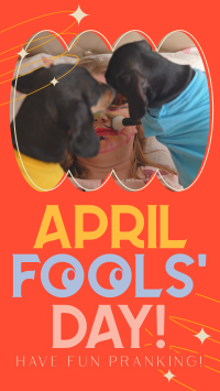 Quirky April Fools' Day Video Image Preview