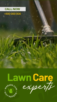 Lawn Care Experts Instagram Reel Design