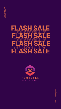 Flash Sale Shop Instagram story Image Preview