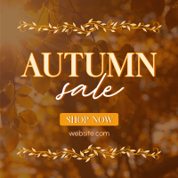Special Autumn Sale  Linkedin Post Image Preview