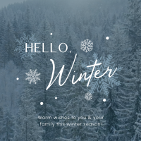 Minimalist Winter Greeting Linkedin Post Image Preview