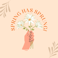 Spring has Sprung Instagram Post Design
