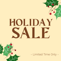 Holiday Sale Instagram post Image Preview