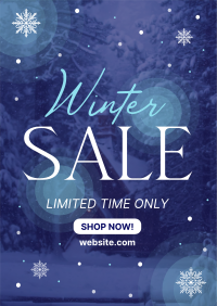 Winter Season Sale Poster Image Preview