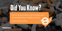 Smoking Facts Twitter Post Image Preview