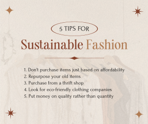 Stylish Chic Sustainable Fashion Tips Facebook post Image Preview