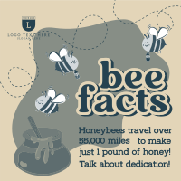 Honey Bee Facts Instagram post Image Preview