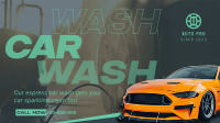 Professional Car Cleaning YouTube Video Image Preview