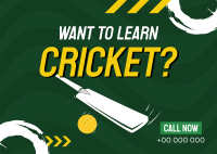 Time to Learn Cricket Postcard Image Preview