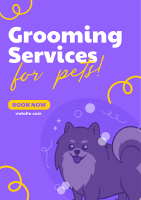 Premium Grooming Services Poster Image Preview