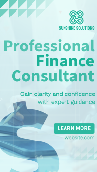 Professional Finance Consultant TikTok video Image Preview