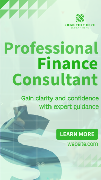 Professional Finance Consultant TikTok video Image Preview