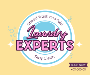 Laundry Experts Facebook post Image Preview