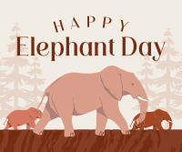 Elephant March Facebook post Image Preview