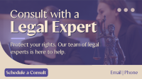 Law Professional Consultation Animation Preview
