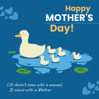 Mother Duck Linkedin Post Design
