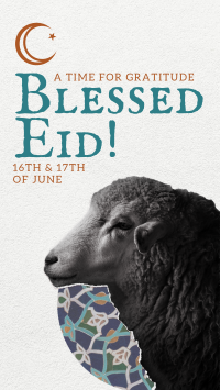 Sheep Eid Al Adha YouTube Short Design