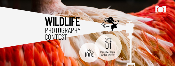 Wildlife Photography Contest Facebook Cover Design Image Preview