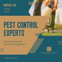 Pest Control Experts Instagram post Image Preview