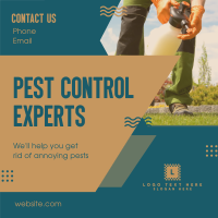 Pest Control Experts Instagram Post Design